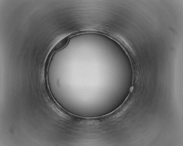 X0000111020884200906261538