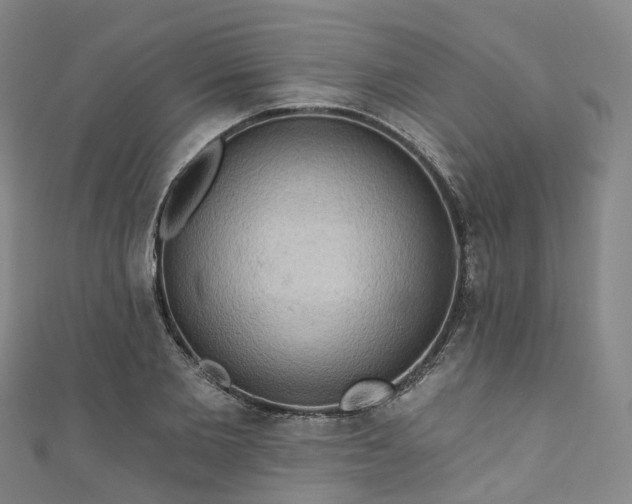 X0000111020885200906261538