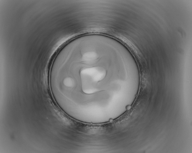 X0000111020886200906261538