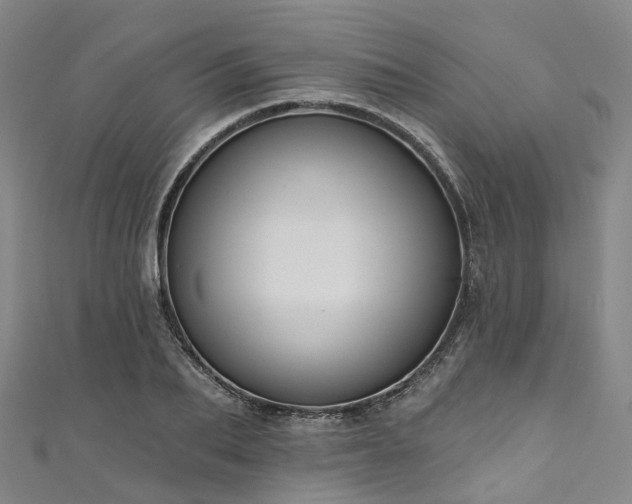 X0000111020887200906261538