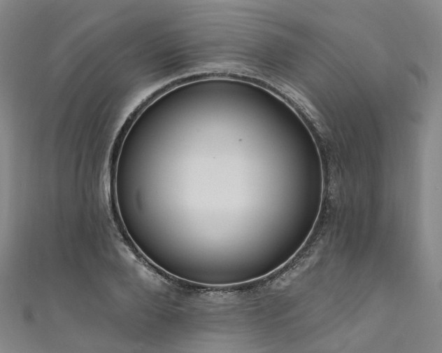 X0000111020888200906261538