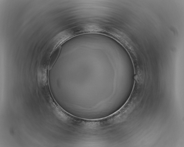 X0000111020889200906261538