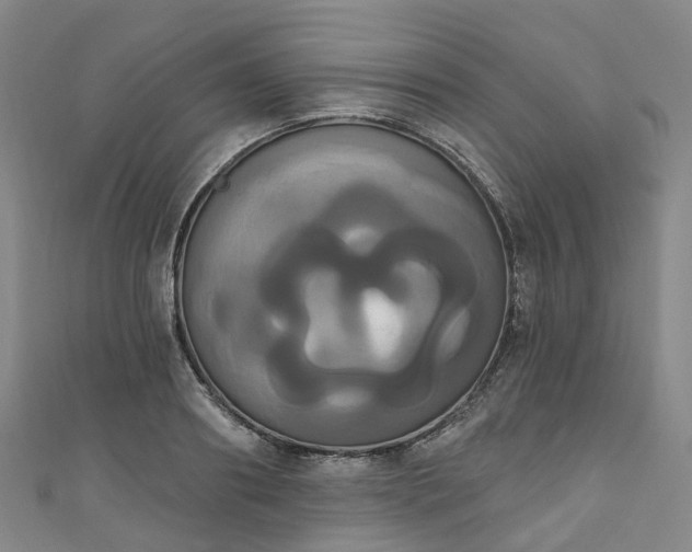 X0000111020890200906261538