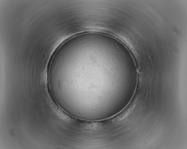 X0000111020891200906261538