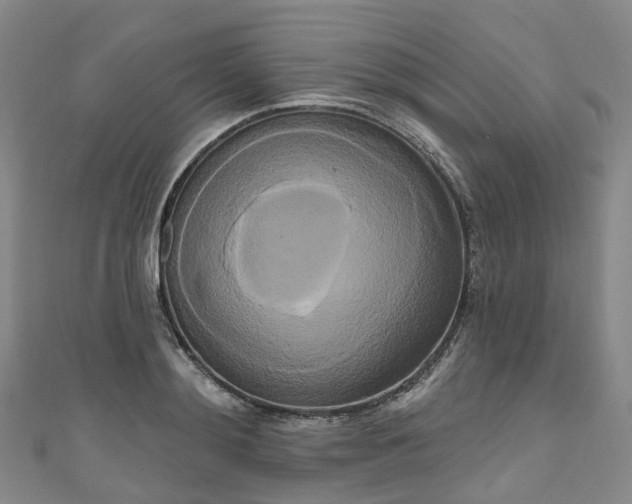 X0000111020892200906261538