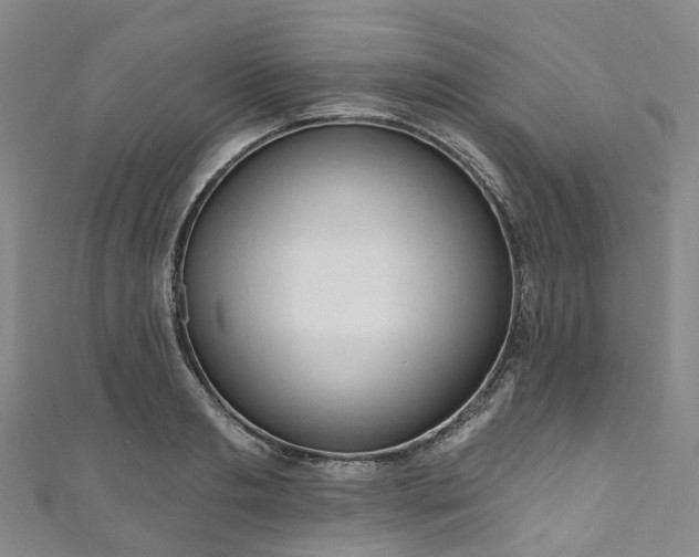 X0000111020893200906261538