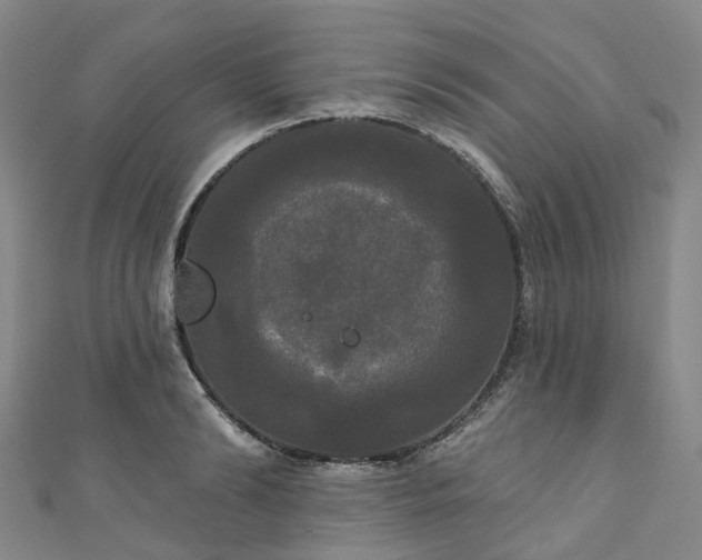 X0000111020894200906261538