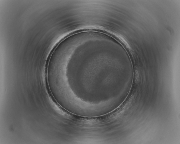 X0000111020895200906261538