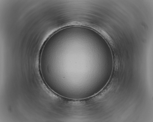 X0000111020896200906261538