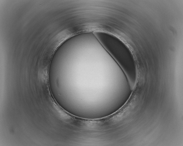 X0000111020897200906261538