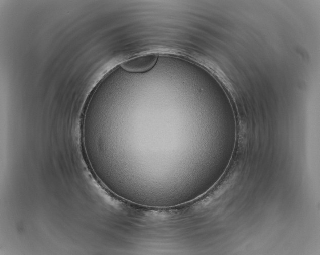 X0000111020898200906261538