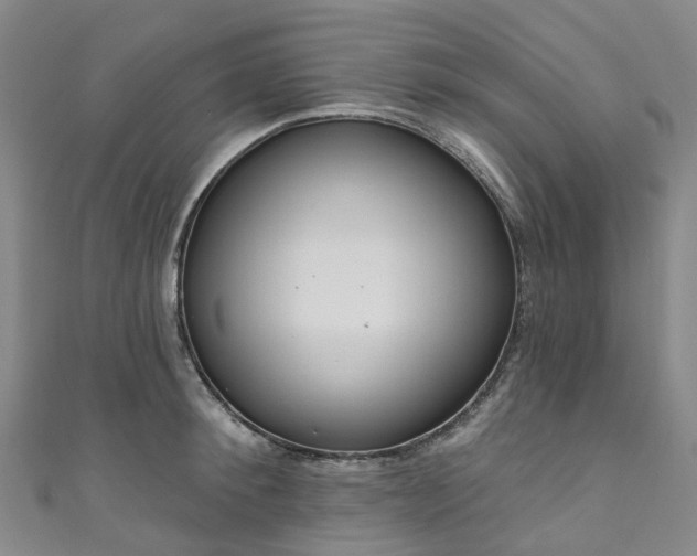 X0000111020900200906261538