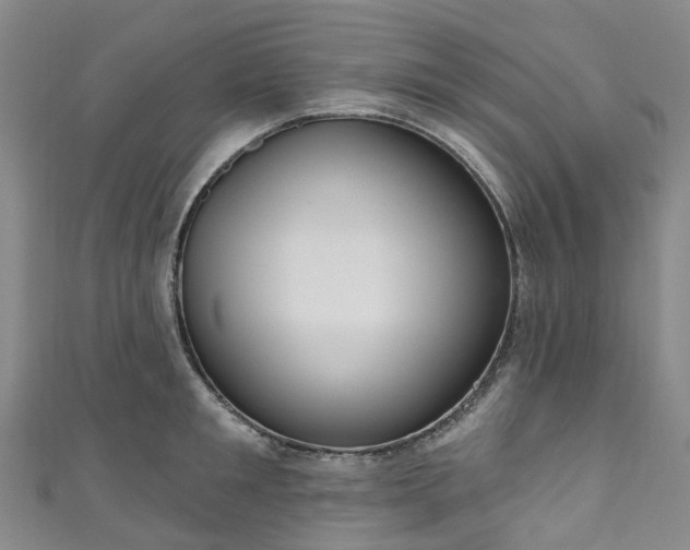 X0000111020901200906261538