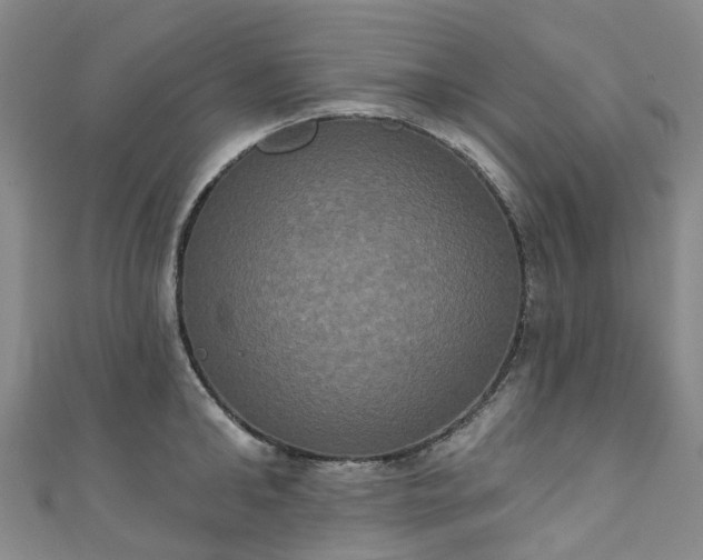 X0000111020902200906261538