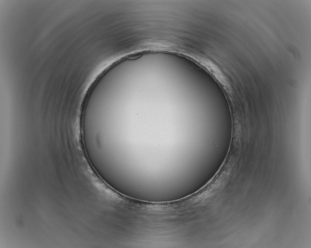 X0000111020904200906261538
