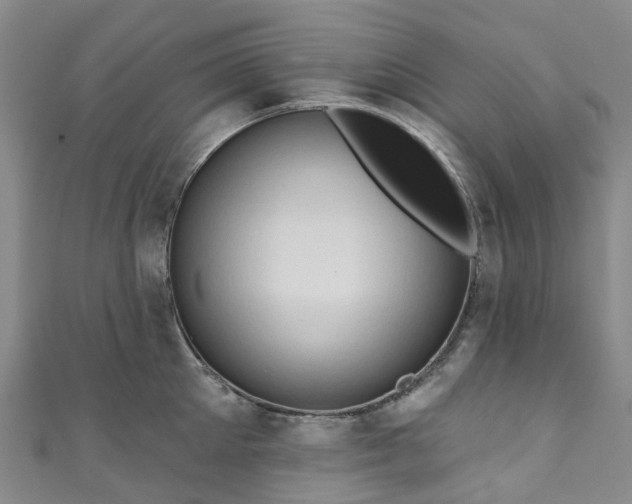 X0000111020905200906261538