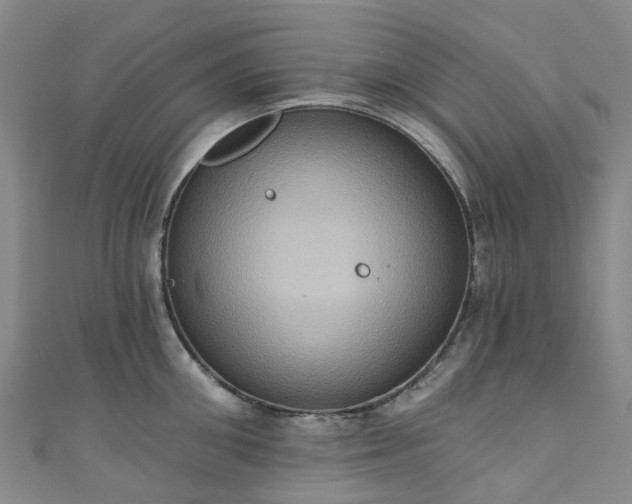 X0000111020906200906261538