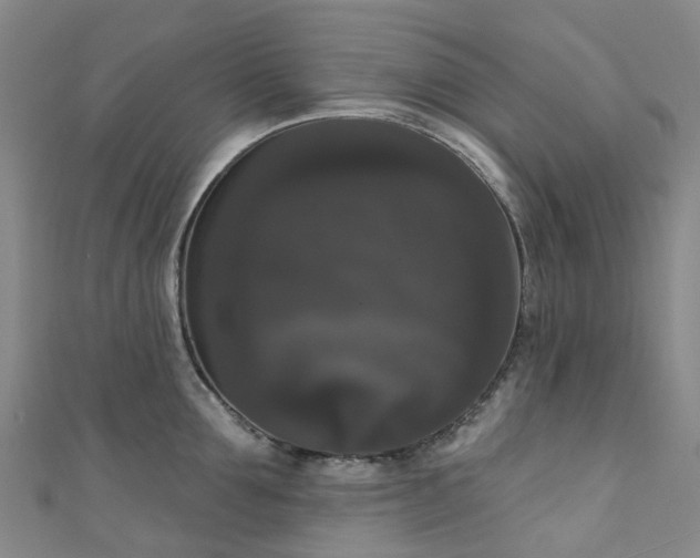 X0000111020907200906261538