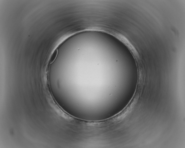 X0000111020908200906261538