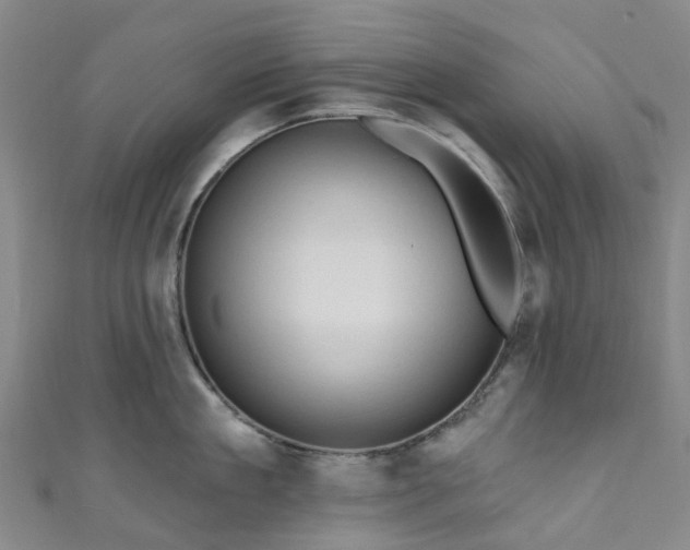 X0000111020909200906261538