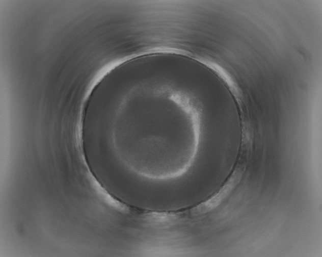 X0000111020910200906261538
