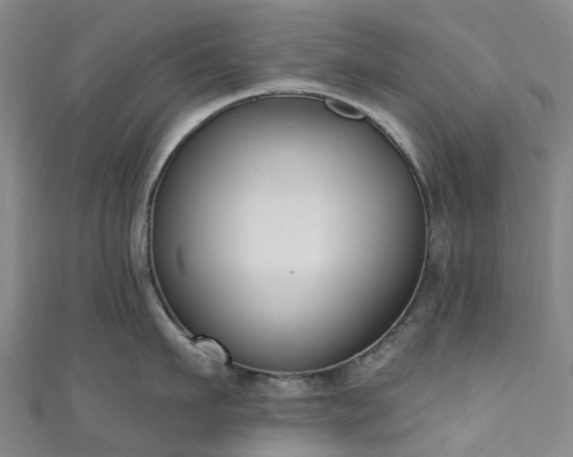 X0000111020911200906261538