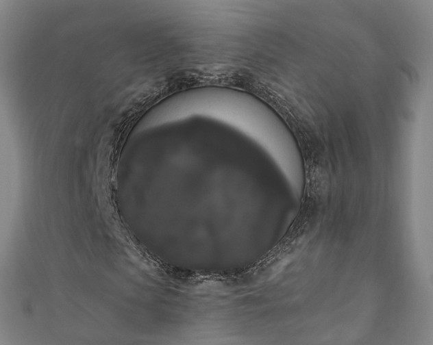 X0000111020913200906261537