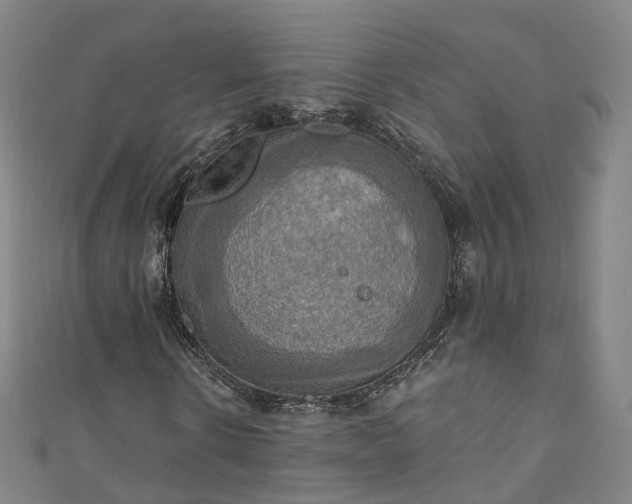 X0000111020914200906261537