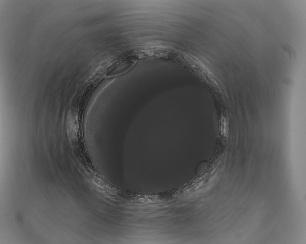 X0000111020915200906261537
