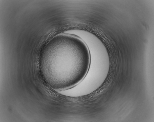 X0000111020916200906261537