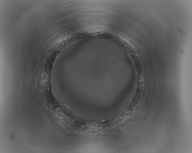 X0000111020917200906261537