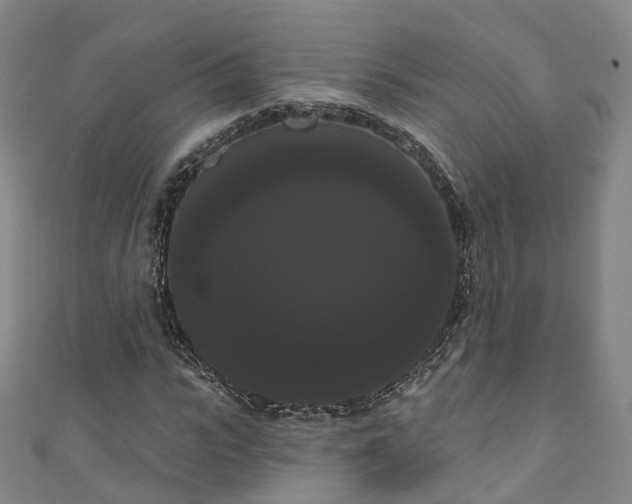 X0000111020919200906261537