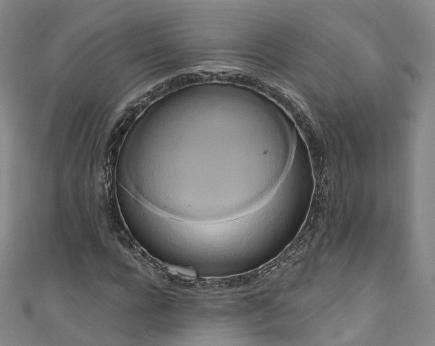 X0000111020920200906261537