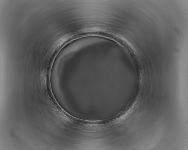 X0000111020921200906261537