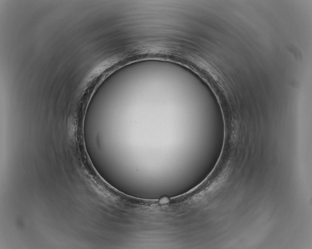 X0000111020922200906261537