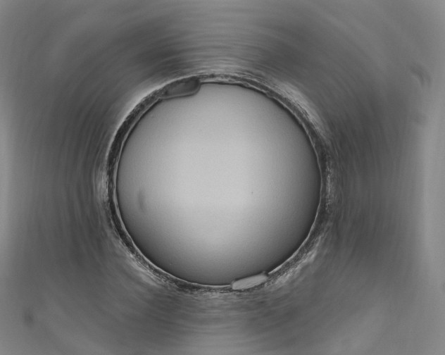 X0000111020924200906261537