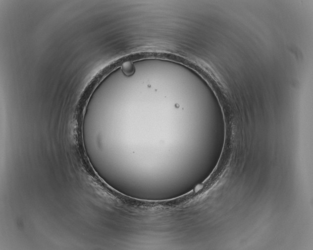X0000111020926200906261537