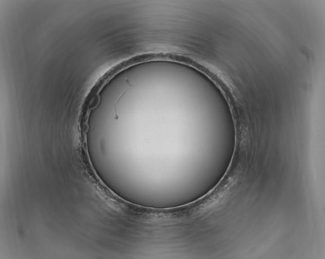 X0000111020927200906261537