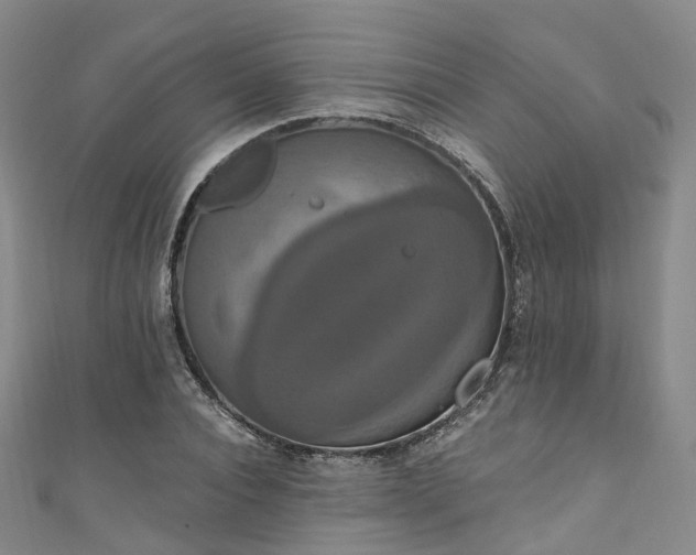 X0000111020928200906261537