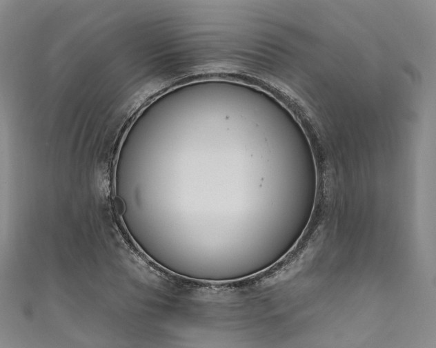 X0000111020929200906261537