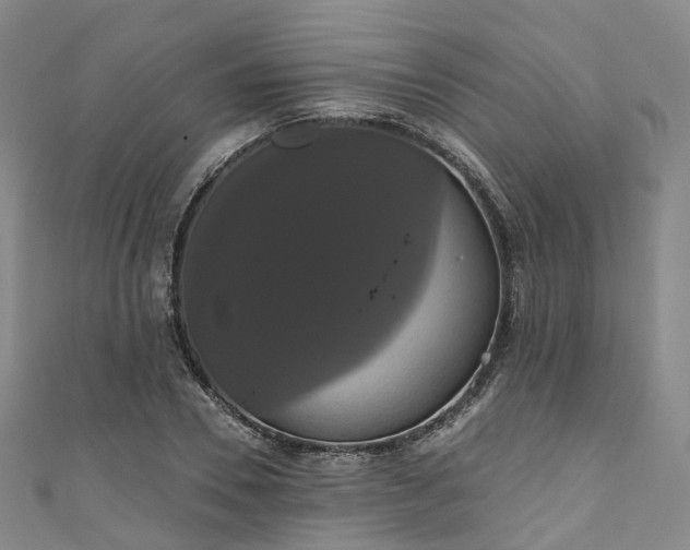 X0000111020930200906261537