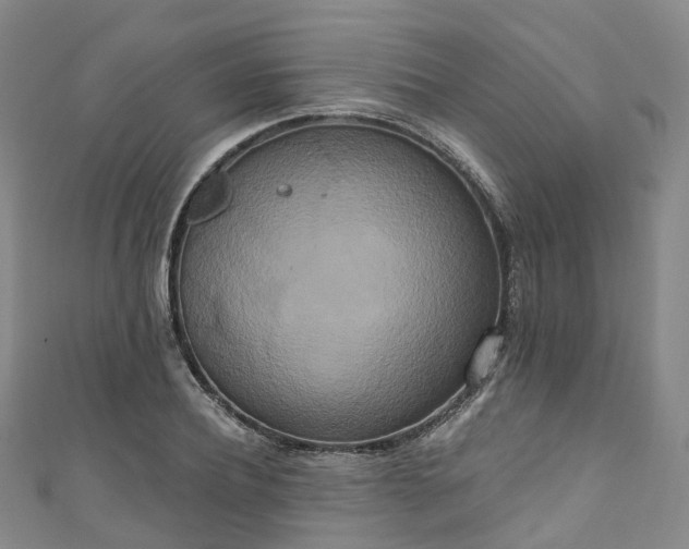 X0000111020932200906261537