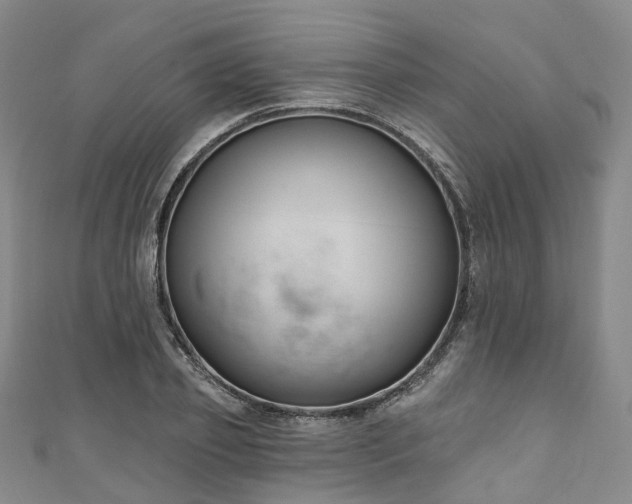 X0000111020933200906261537