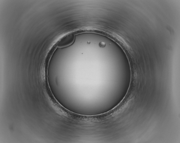 X0000111020934200906261537