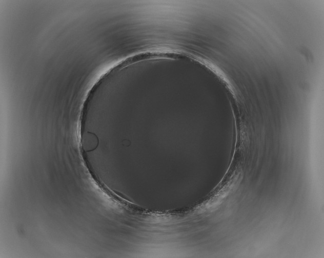 X0000111020935200906261537