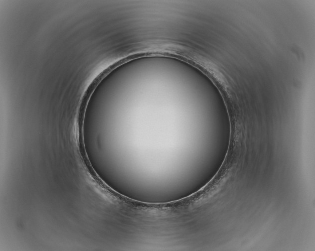 X0000111020936200906261537