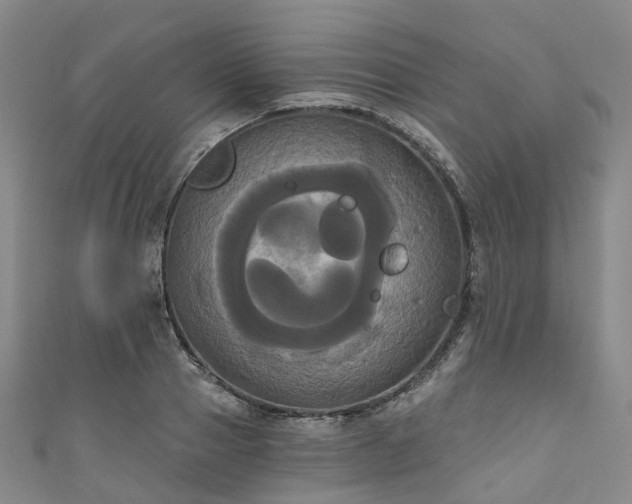 X0000111020937200906261537