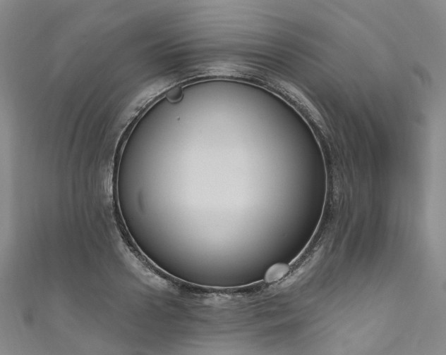 X0000111020938200906261537