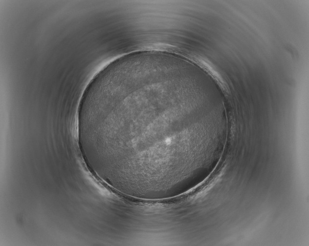 X0000111020940200906261537