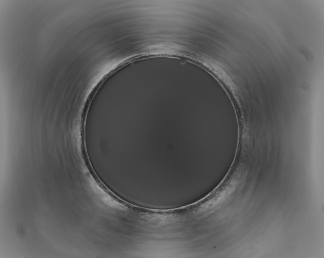 X0000111020941200906261537